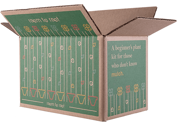 Open brown box with 'room to root' logo, plant designs, and 'beginner's plant kit' text - View 1