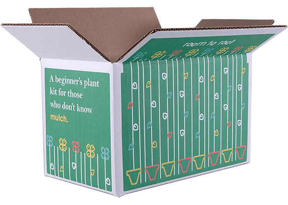 Open white box with 'room to root' logo, plant designs, and 'beginner's plant kit' text- View 2
