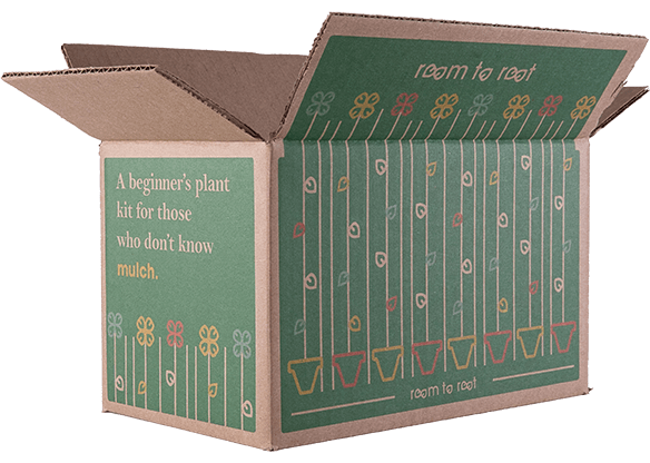 Open brown box with 'room to root' logo, plant designs, and 'beginner's plant kit' text - View 2