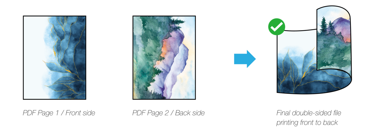 Portrait orientation example - corrected with flip